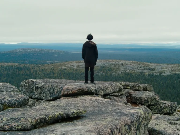 D is for Distance: a bold, free-form journey through memory and political unease