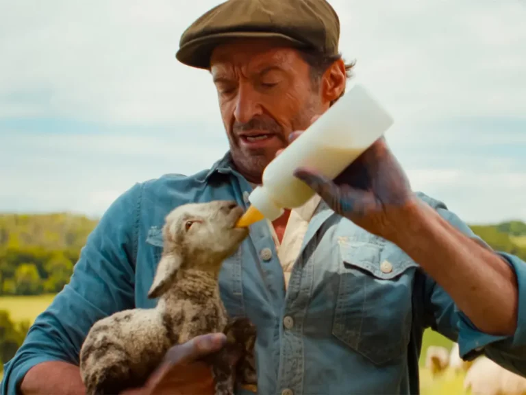 CGI gumshoes with real heart: a sharper take on The Sheep Detectives