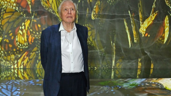 David Attenborough Turns 100 as Royal and Pop Figures Offer Birthday Tributes